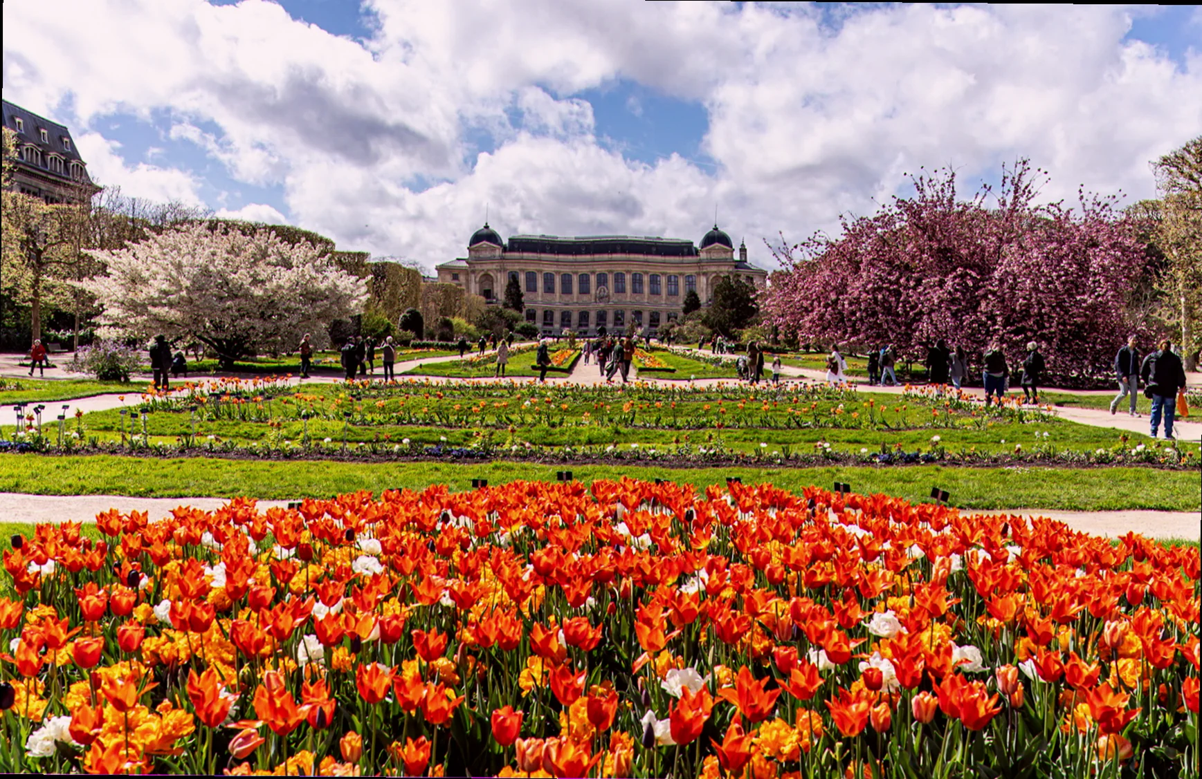 le jardin de plantes