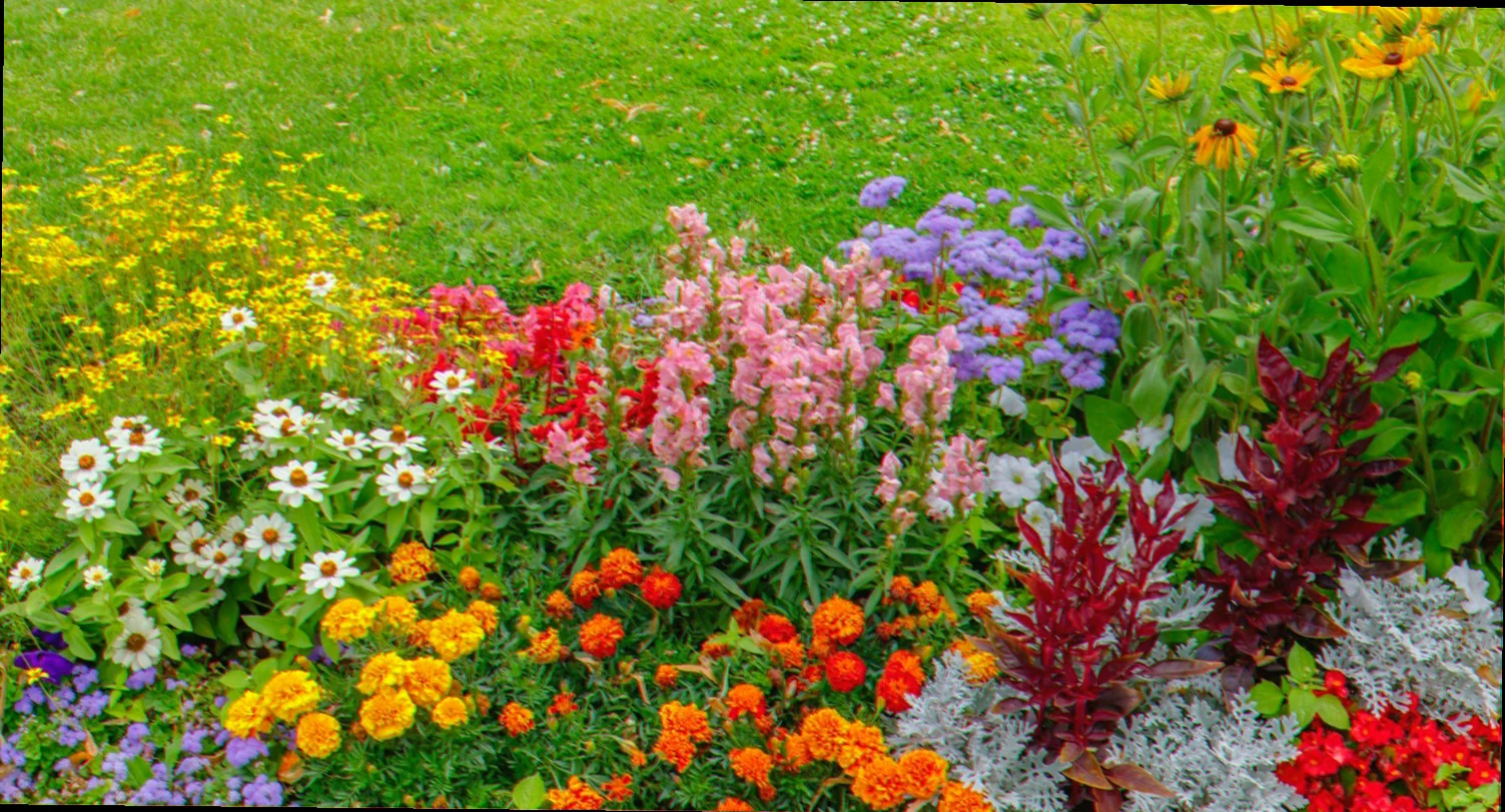 summer flowers to plant in april