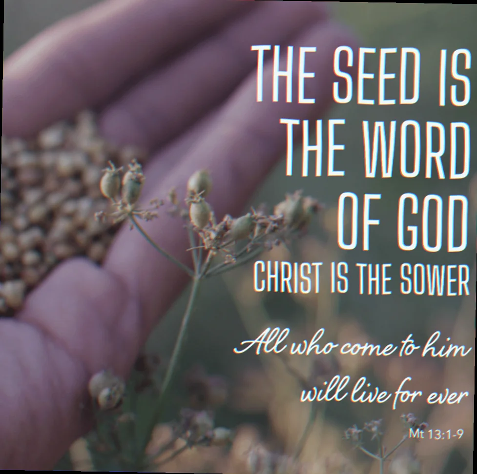 worship songs about planting seeds